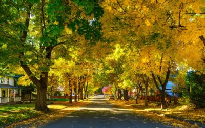 Oklahoma City: Fall Real Estate Trends and Insights